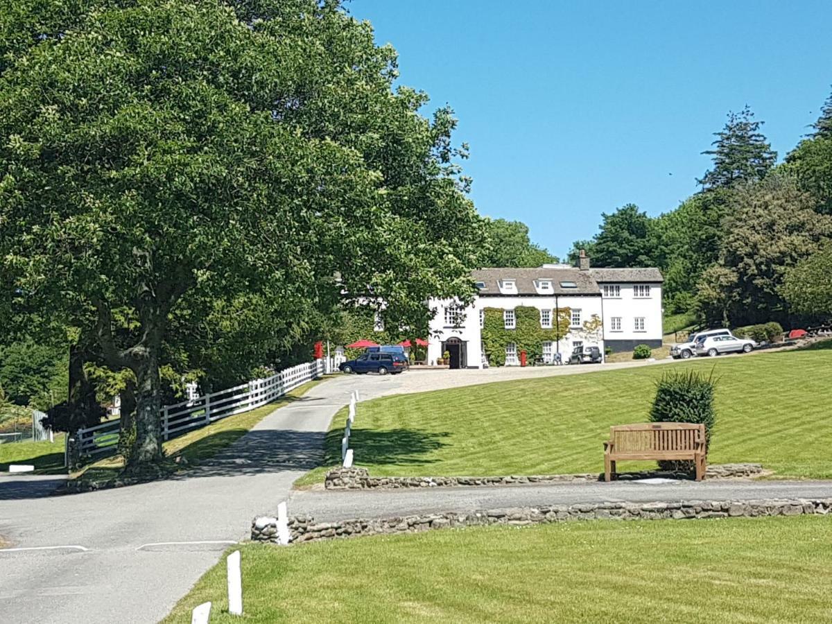 Llwyngwair Manor, Newport, Pembrokeshire Hotel นิวพอร์ต ภายนอก รูปภาพ